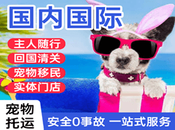 乌兰察布集宁机场空运国际宠物托运 【国